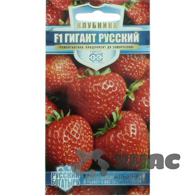 Клубника Гигант русский Гавриш Ц