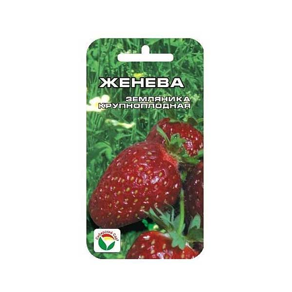 Клубника Женева СибСад Ц
