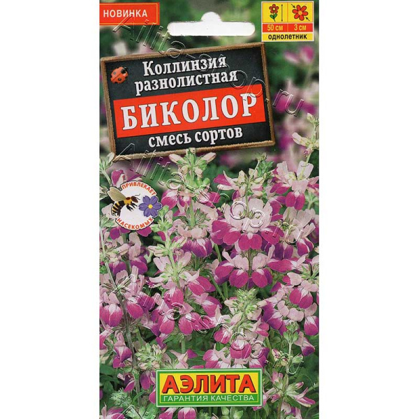 Коллинзия Биколор смесь Аэлита Ц