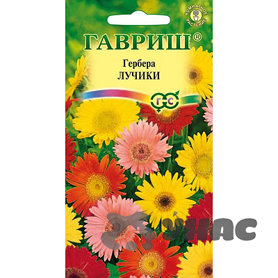 КОМ Гербера Лучики Гавриш Ц