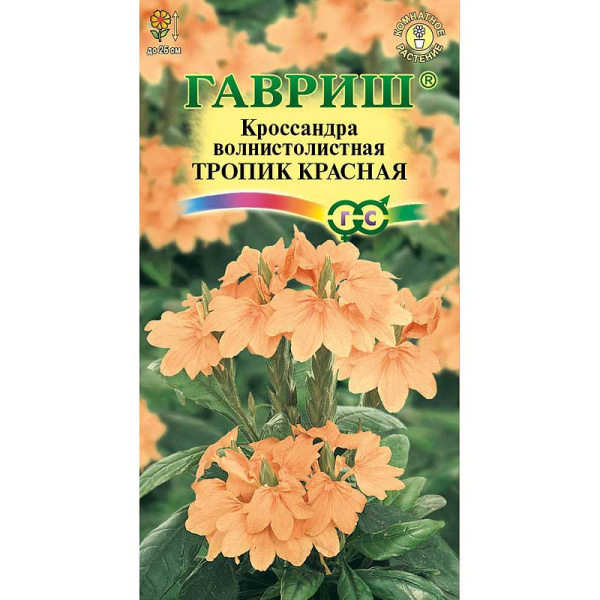 КОМ Кроссандра Тропик красная (Элитная клумба) Гавриш Ц