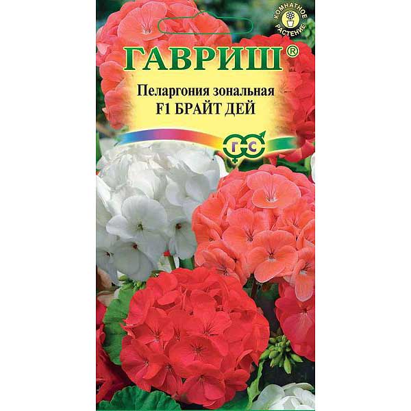 КОМ Пеларгония Брайт дей Гавриш Ц