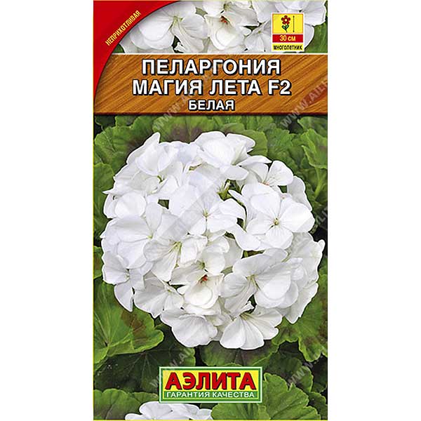КОМ Пеларгония Магия лета белая Аэлита Ц