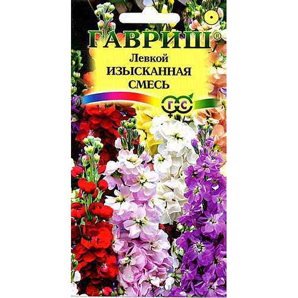 Левкой Изысканная смесь Гавриш Ц