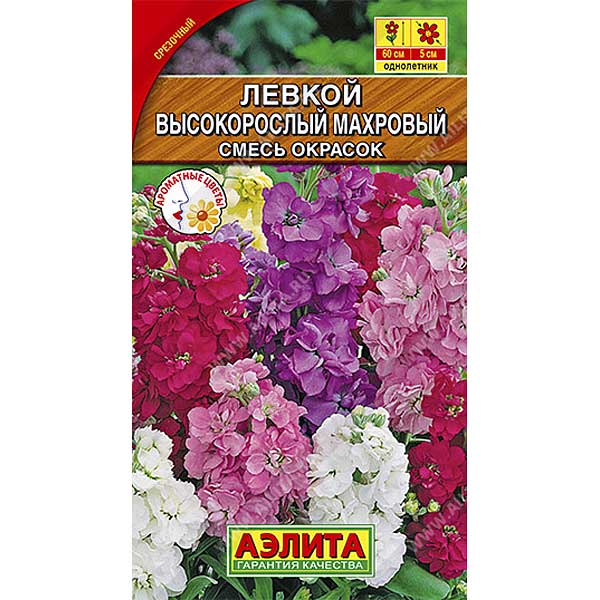 Левкой Высокорослый махровый Аэлита Ц