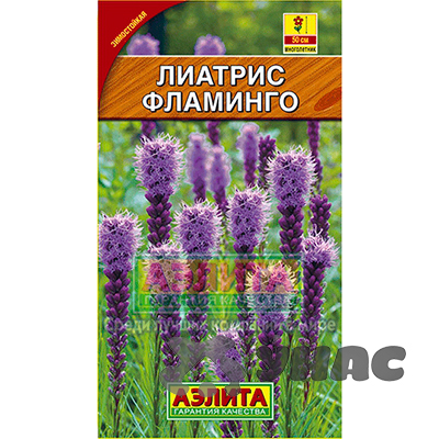 Лиатрис Фламинго колосковая Аэлита Ц