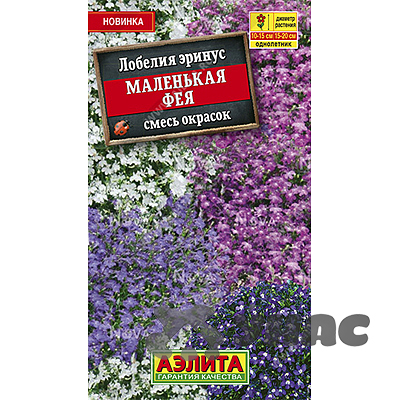 Лобелия Маленькая фея Аэлита Ц