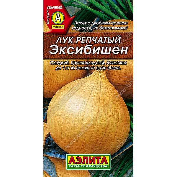 Лук Эксибишен Аэлита Ц