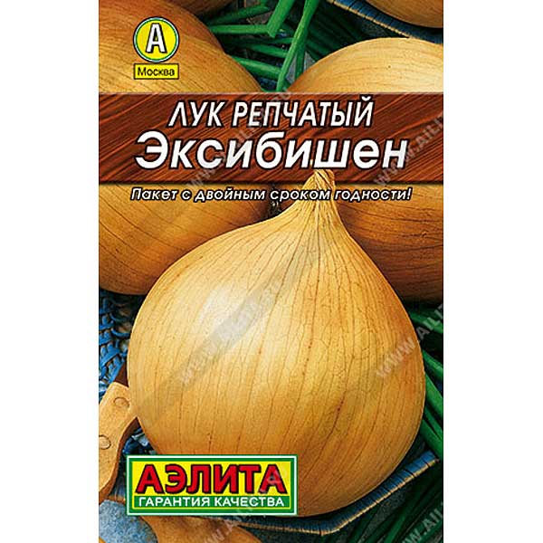 Лук Эксибишен Аэлита Ц «Лидер»