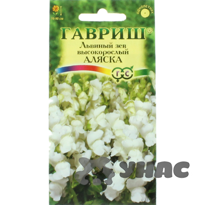 Львиный зев Аляска Гавриш Ц