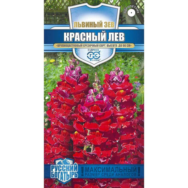 Львиный зев Красный лев Гавриш