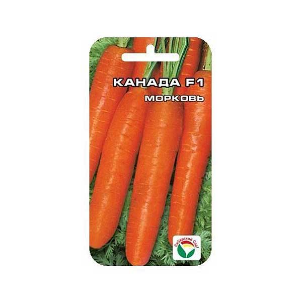 Морковь Канада СибСад Ц