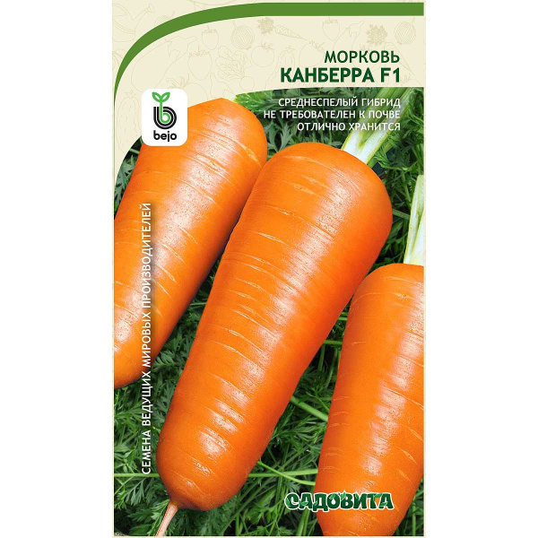 Морковь Канберра F1 0,2гр Bejo/Садовита Ц