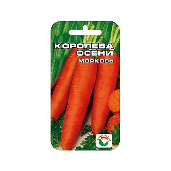 Морковь Королева осени СибСад Ц