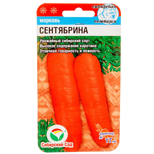 Морковь Сентябрина СибСад Ц