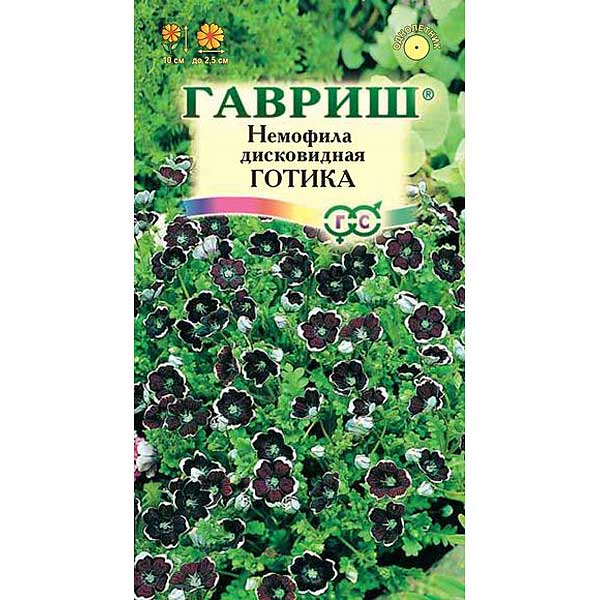 Немофила Готика дисковидная Гавриш Ц