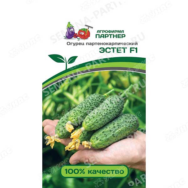 Огурец Эстет Партнер Ц