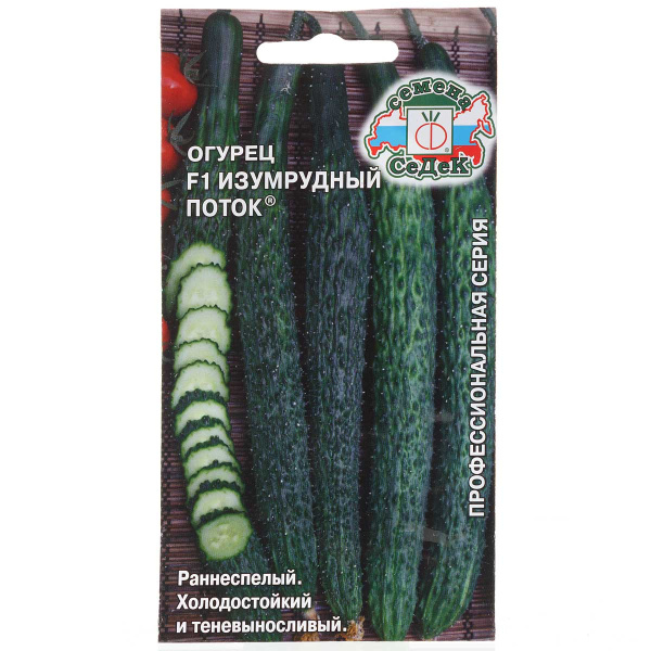 Огурец Изумрудный поток Седек Ц