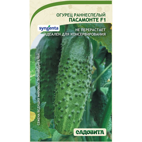 Огурец Пасамонте F1 5шт Syngenta/Садовита Ц