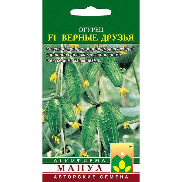 Огурец Верные друзья Манул Ц