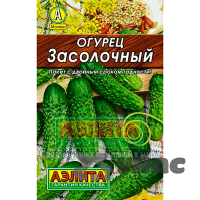 Огурец Засолочный Аэлита Б