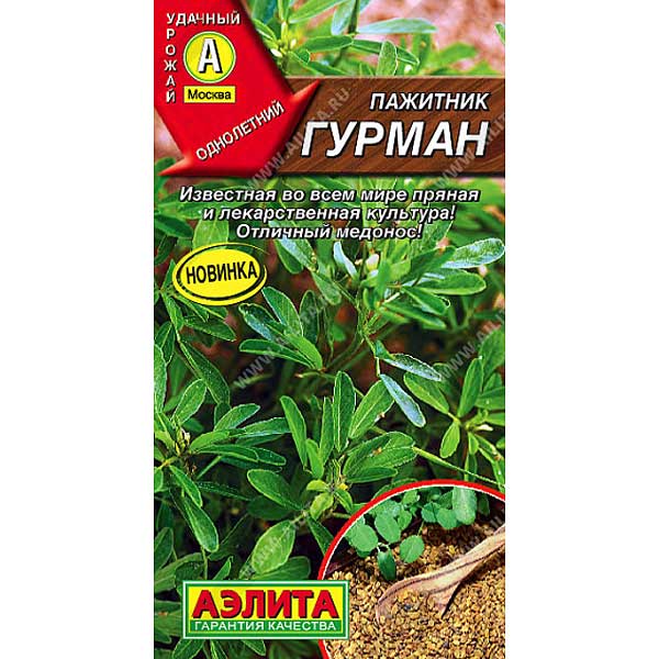 Пажитник Гурман Аэлита Ц