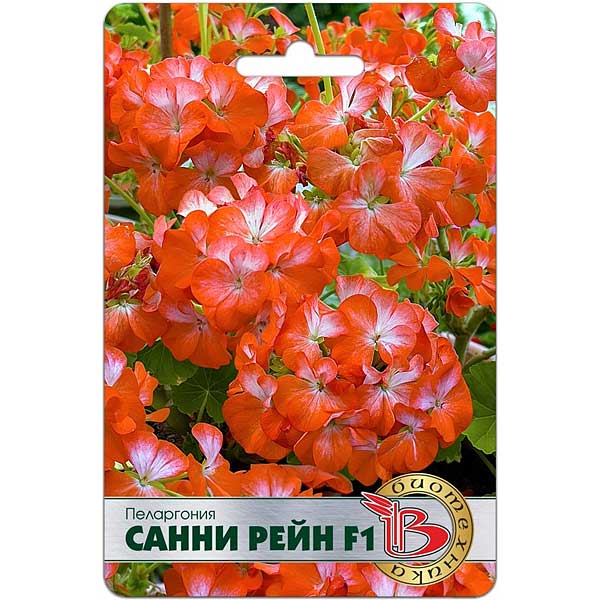 Пеларгония Санни Рейн Биотехника Ц