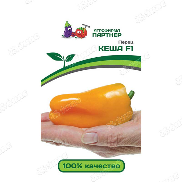Перец Кеша Партнер