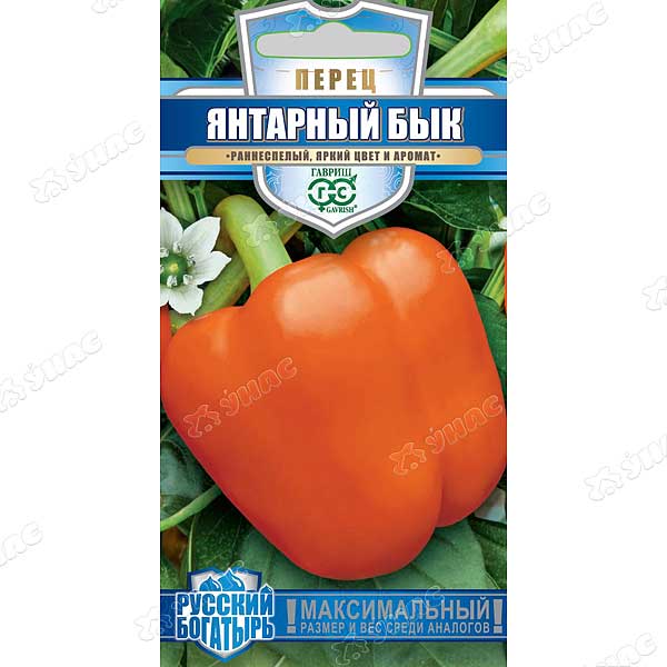 Перец Янтарный бык Гавриш Ц