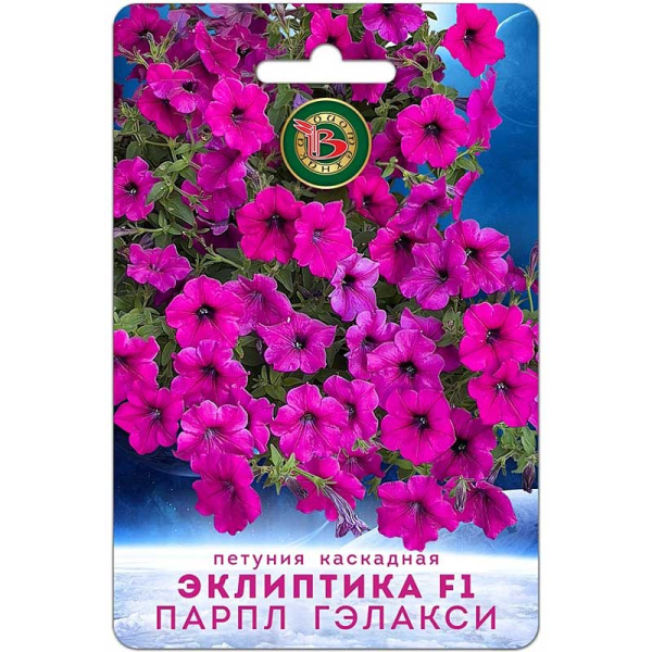 Петуния Эклиптика F1 (Парпл) Гэлакси Биотехника Ц