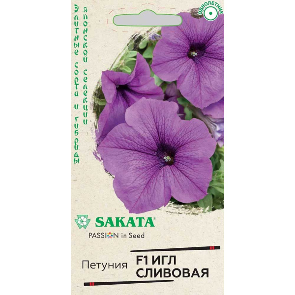 Петуния Игл сливовая Гавриш Ц