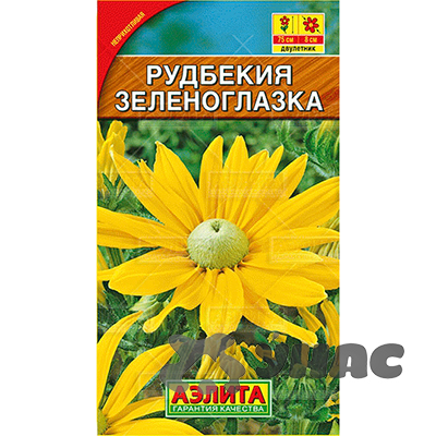 Рудбекия Зеленоглазка Аэлита Ц