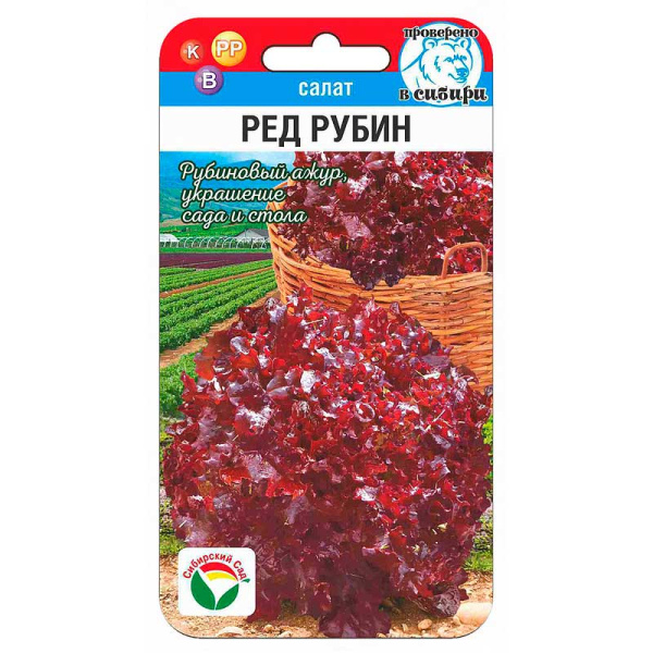 Салат Ред Рубин СибСад Ц