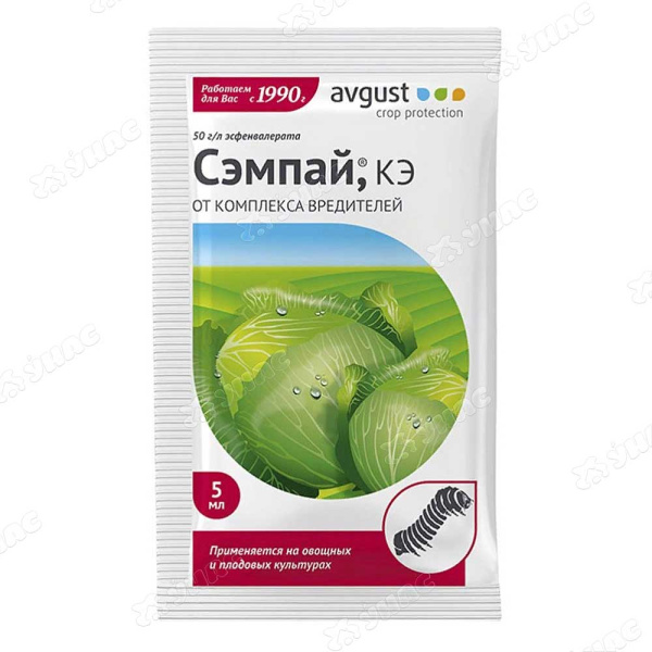 Сэмпай 5мл(пакет) Август