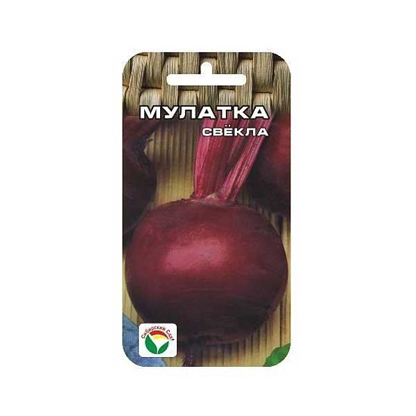 Свекла Мулатка СибСад Ц