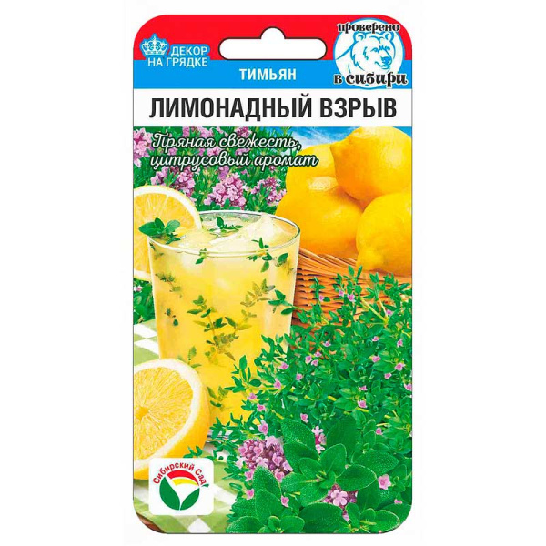 Тимьян Лимонадный взрыв СибСад Ц