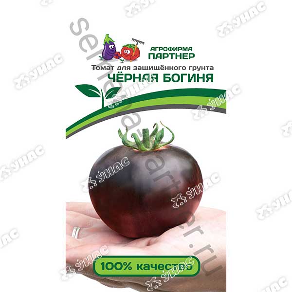 Томат Черная Богиня Партнер Ц