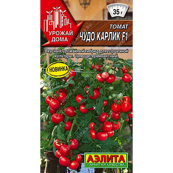 Томат Чудо карлик Аэлита Ц