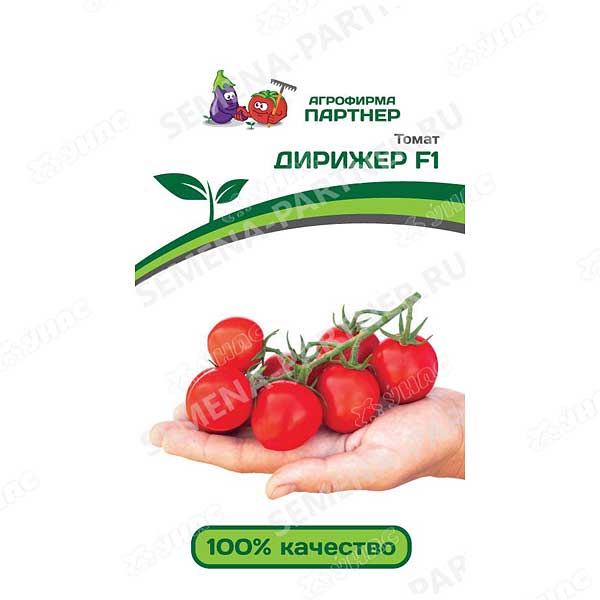 Томат ДИРИЖЕР Партнер Ц