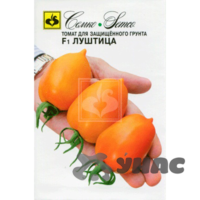 Томат Луштица Семко Ц