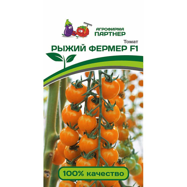 Томат Рыжий фермер Партнер