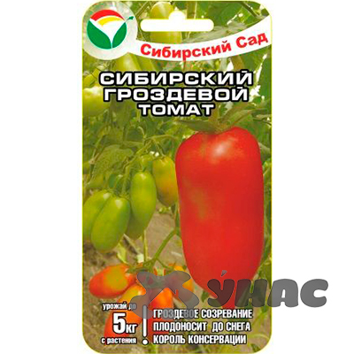 Томат Сибирский гроздевой СибСад Ц