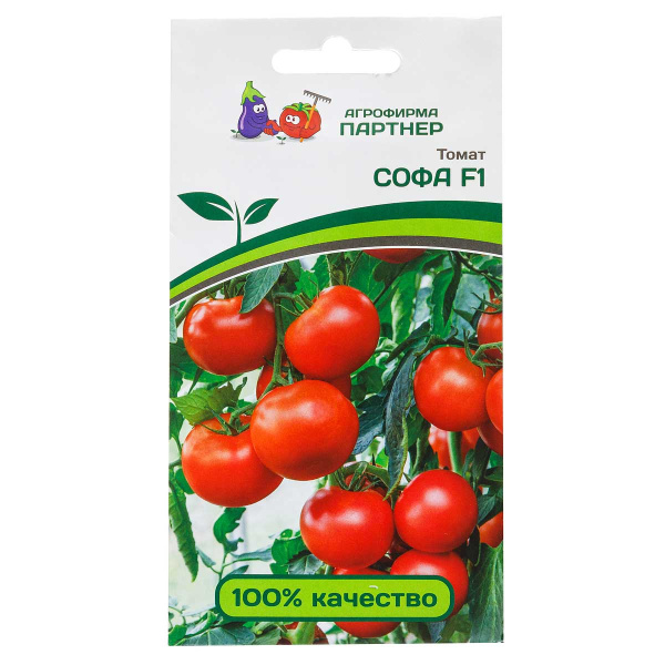 Томат Софа Партнер