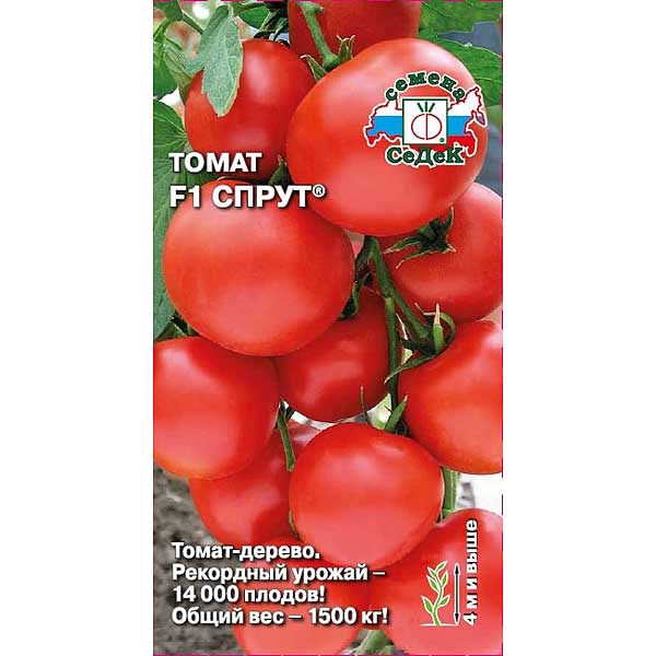Томат Спрут Седек Ц