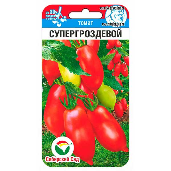Томат Супергроздевой СибСад Ц