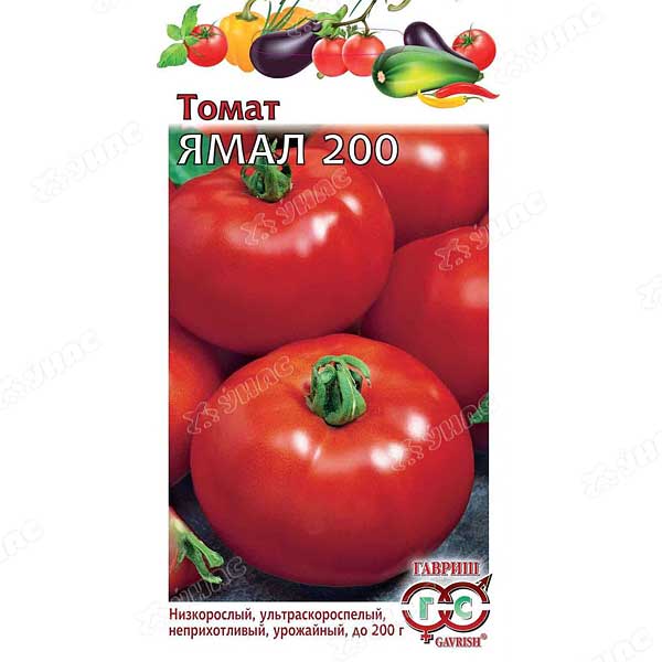 Томат Ямал-200 (метал) Гавриш Ц