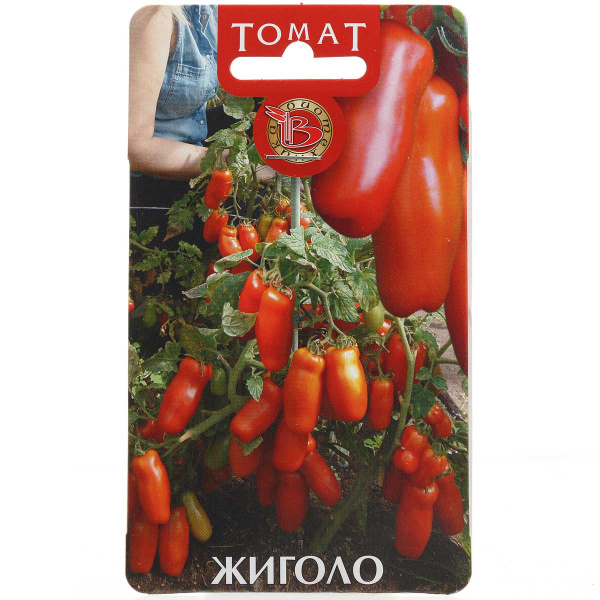 Томат Жиголо Биотехника Ц