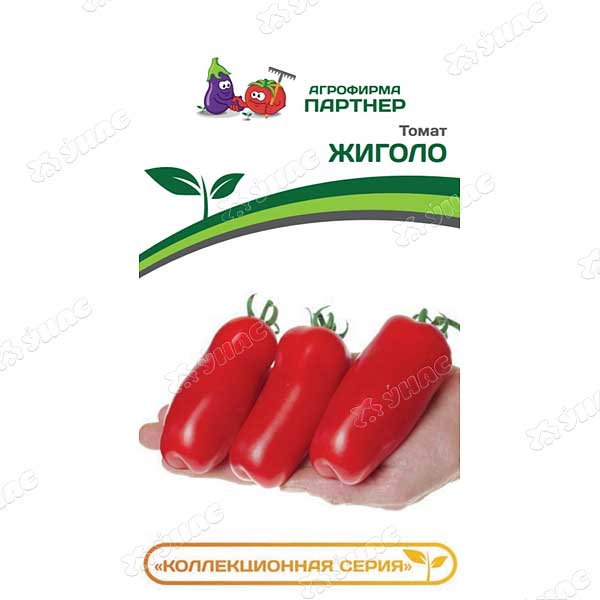 Томат Жиголо Партнер Ц