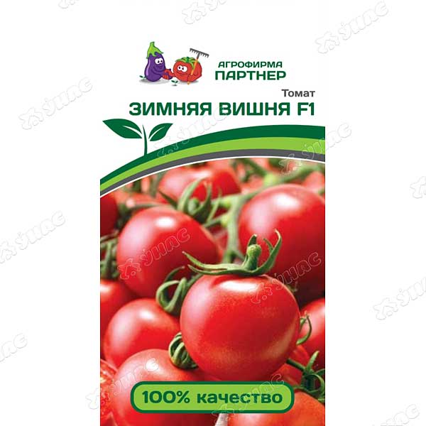 Томат Зимняя вишня Партнер Ц