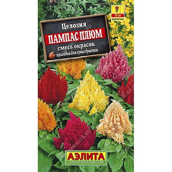 Целозия Перистая Пампас Плюм смесь Аэлита Ц